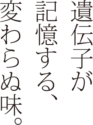 遺伝子が記憶する、変わらぬ味。